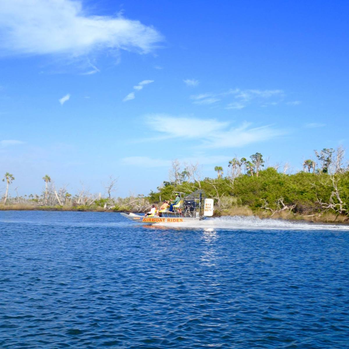 Airboat speeding on blue water near lush green shore under a clear sky.