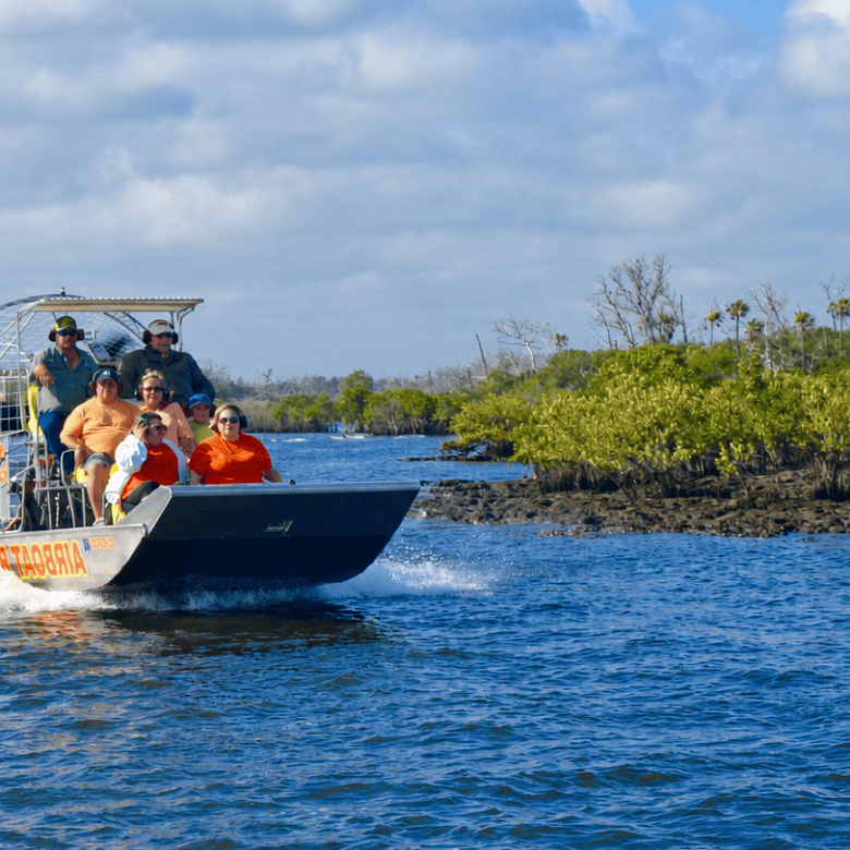 Airboat with tourists cruising on blue water near green shoreline.