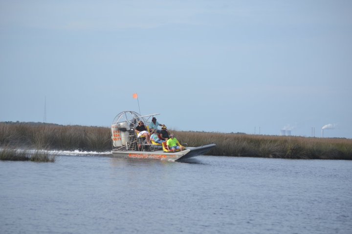 Airboat with passengers travels through marshland on a sunny day.