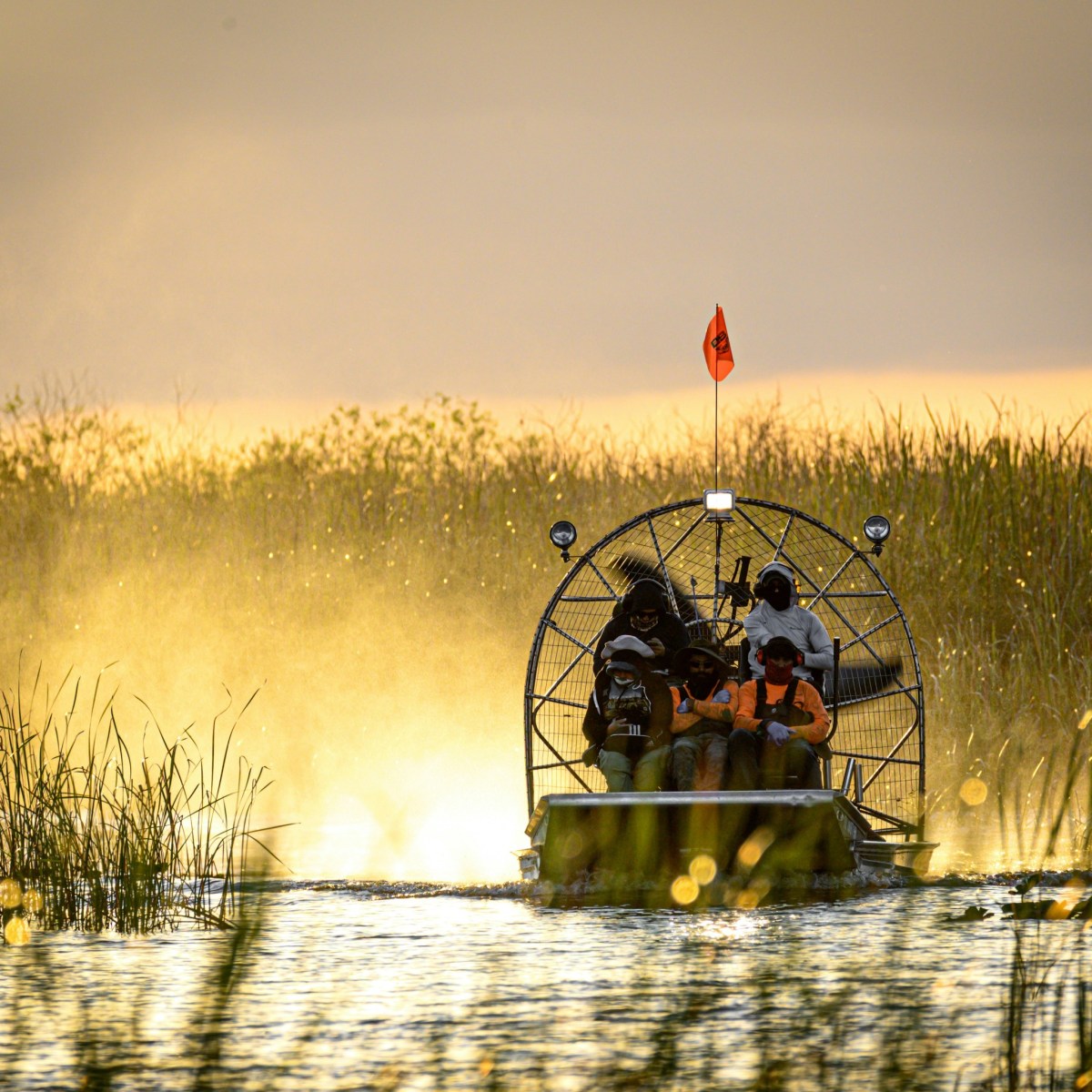 Airboat with passengers in a reed-filled waterway at sunset.